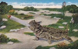 Texas San Antonio A Texas Horned Toad Smoking A Cigarette