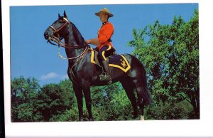 OVERSIZE Royal Canadian Mounted Police, RCMP, Officer on Horseback