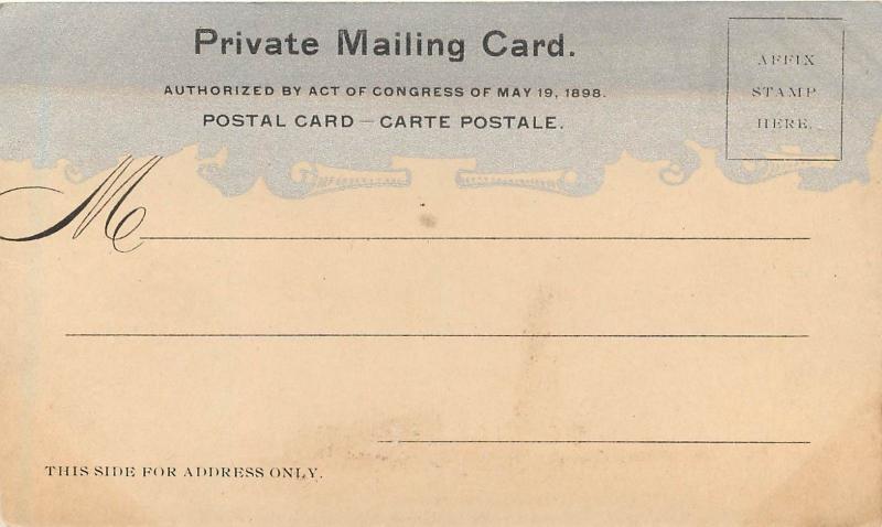 Private Mailing Card; Bartholdi Statue of Liberty, New York Harbor NY unposted