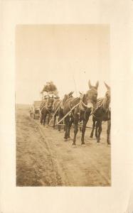 1910 RPPC Postcard; Couple, Woman Driving 6 Mule Team Wagon Hitch Unknown US