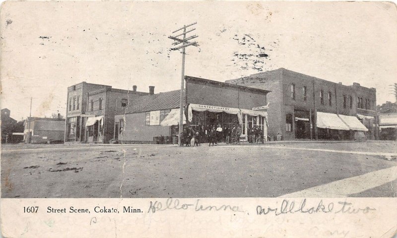 J46/ Cokato Minnesota Postcard c1910 Street Scene Stores People 34