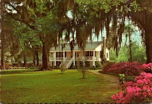 South Carolina Florence Mr and Mrs M Chisolm Wallace Low Country Plantation 1985