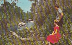 Florida Weeki Wachee Scene On Weeki Wachee River