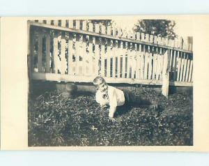 Pre-1930 rppc CLASSIC WHITE PICKET FENCE BESIDE BOY PLAYING HM0348