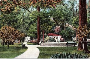 Postcard PARK SCENE Appleton Wisconsin WI AI1193