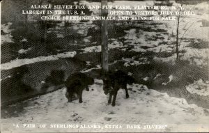 Plattsburg New York Alaska Silver Fox Sterlings Fur Farm RPPC Vintage Postcard