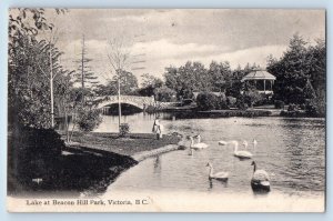 Victoria British Columbia Canada Postcard Lake At Beacon Hill Park 1908 Antique