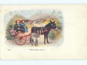 Divided-Back ANIMAL SCENE Great Postcard AA9532