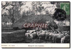 Postcard Old Sheepfold Des Landes