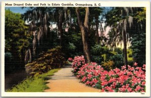 Orangeburg SC-South Carolina, Moss Draped & Path In Edisto Gardens, Postcard