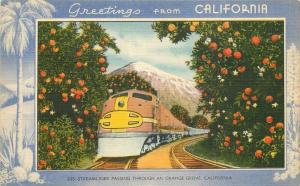 Gardner Thompson 1930s Steamliner Railroad Farm Agriculture Citrus Postcard 4091