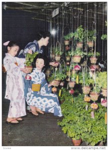 HOHZUKI-ICHI The Fair of Ground Cherry, TOKYO, Japan, 50-70s