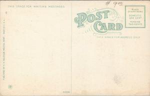 Helena Montana~Antlers Theatre Interior~Stage & Curtain~Head Mounts~c1910 PC