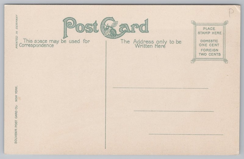 State View~Horse Shoe Falls From Below Niagara Falls~Vintage Postcard