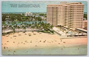 The Mimosa Miami Beach Florida FL Sand Beach Swimming Pool & Apartments Postcard