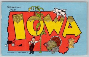 Iowa Large Letter Greetings Corn Farming Turkey Wheat Postcard D30