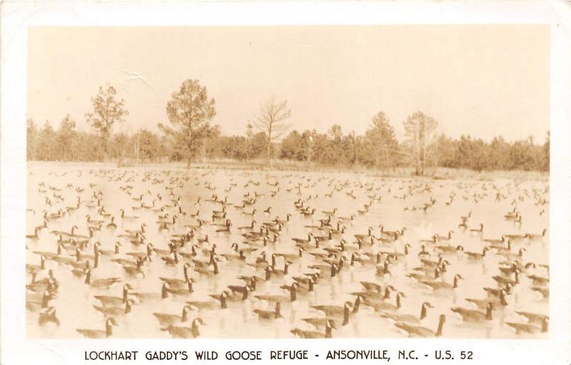 C52/ Ansonville North Carolina Postcard c50s RPPC Lockhart Gaddy's Goose Refuge