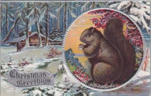 Christmas Winter Scene With Squirrel