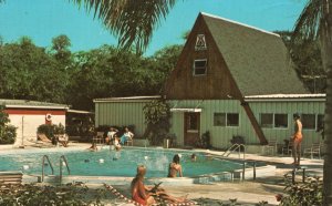 St. Pete's Swimming Pool Camp Modern St. Petersburg Florida FL Vintage Postcard