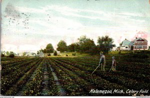 Michigan Kalamazoo Typical Celery Field 1908
