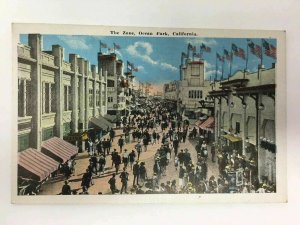 The Zone Ocean Park Santa Monica California Postcard