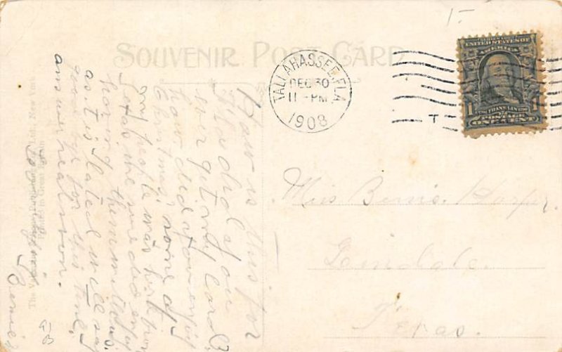 Native Florida, USA Alligator 1908 