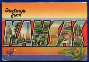 Kansas the Wheat State Lawrence Fort Riley Large Letters Postcard Folder PF590