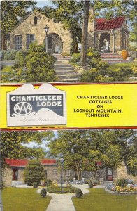 Chanticleer Lodge Cottages Lookout Mountain Tennessee linen postcard