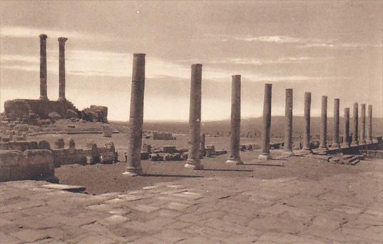 Tunisia Ruines Romaines de Timgad Colonnade des propylles du Capitole