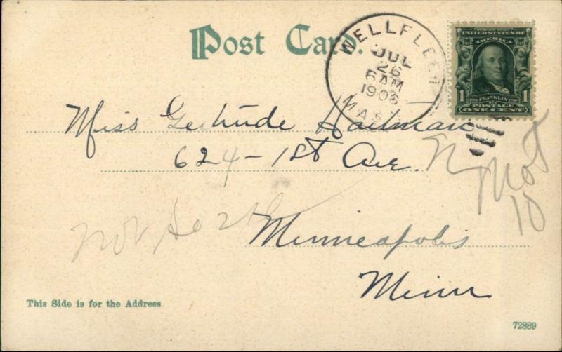 Wellfleet Cape Cod MA Street Scene Used 1906 Postcard
