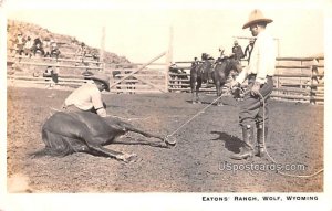 Eatons' Ranch - Wolf, Wyoming WY  
