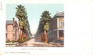 Los Angeles California Avenue Of Palms Scenic View Antique Postcard K107070