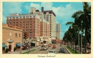 Florida Miami Biscayne Blvd autos Bus Postcard Gulf Stream Teich 21-12703