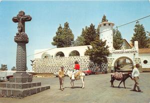 BG27654 gran canaria parador de tejeda donkey   spain