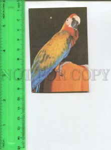 474462 USSR 1986 year circus trained parrot Original old Pocket CALENDAR