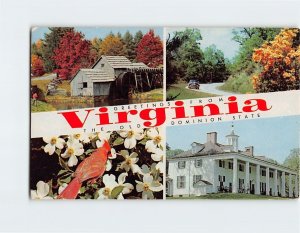 Postcard The Old Dominion State, Greetings From Virginia