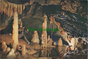 Somerset Postcard - Cheddar, Aladdin's Cave, Gough's Caves  RR17440