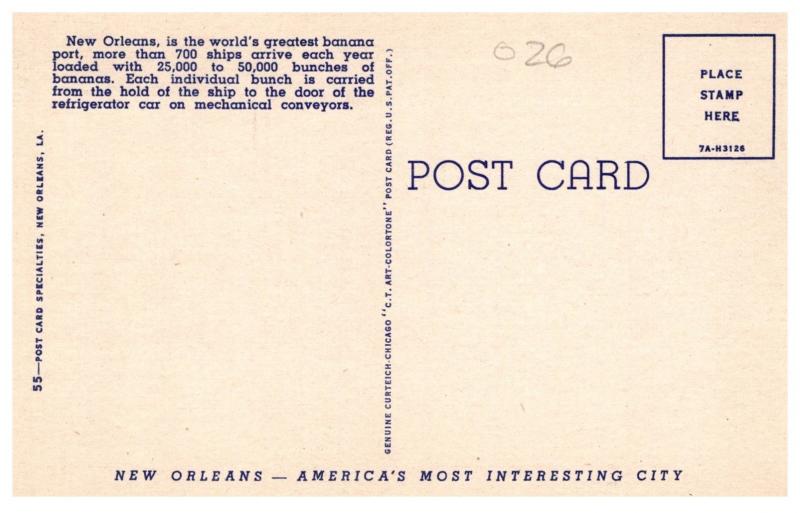 Louisiana New Orleans,  Unloading Bananas from ship side