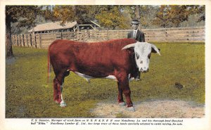 Natalbany, Louisiana, Stock Farm Manager & Thoroughbred Bull, AA372-4