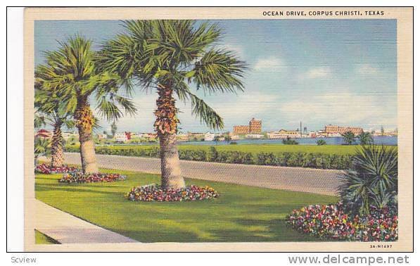 Ocean Drive, Corpus Christi, Texas, 30-40s