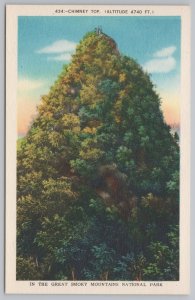 National & State Parks~Great Smoky Mountains Park~Chimney Top~Vintage Postcard