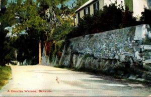 Bermuda A Country Wayside