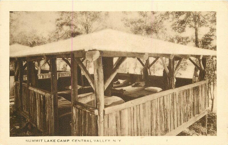 New York Central Valley Summit Lake Camp Eagle roadside Postcard 22-3850 