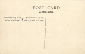 mauritius, PORT LOUIS, Bassin du Mauritius Dock (1910s)