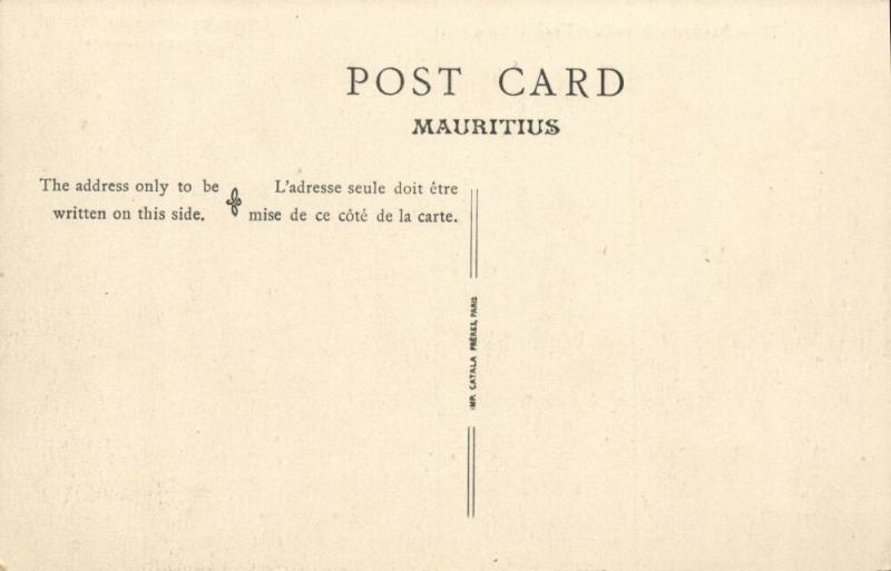 mauritius, PORT LOUIS, Bassin du Mauritius Dock (1910s)