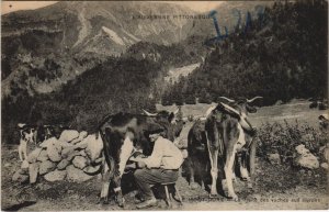CPA LE MONT-DORE La Traite des Vaches aux Burons (1253605)