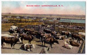 Scene near Tannersville NY