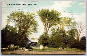 Postcard Galt Ontario c1911 View In Jackson Park Cambridge Warwick