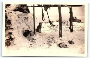 1930s ALASKA DOG SLED TEAM IGLOO HOME HUSKY MALAMUTE RPPC POSTCARD P2420