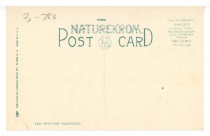 NH - The Weirs, Lake Winnipesaukee. Spindle Point Observatory